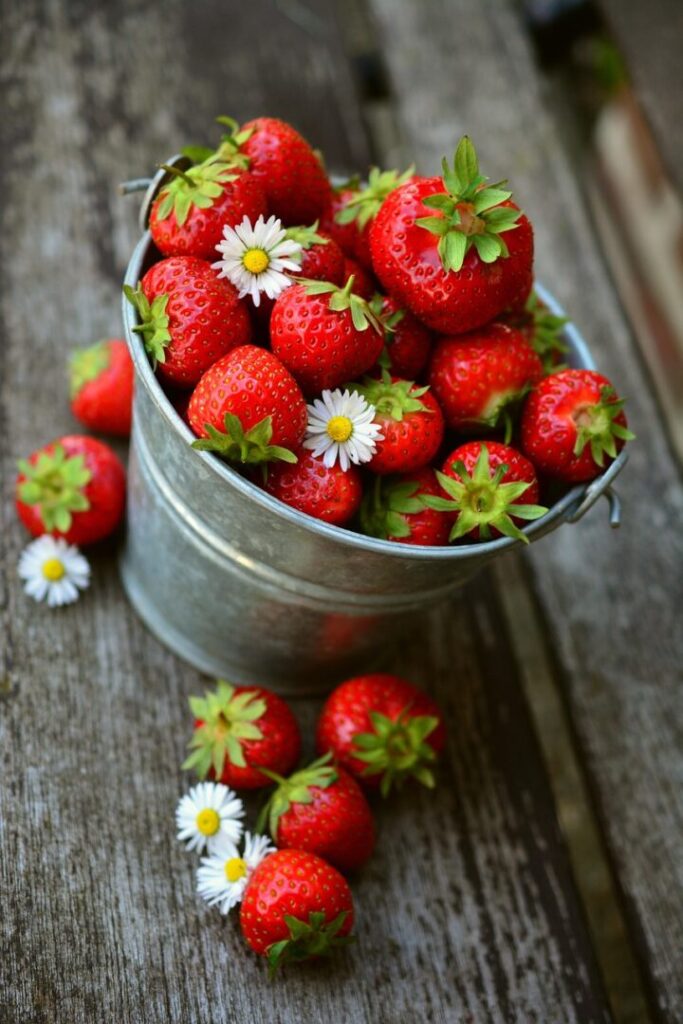 strawberries-3431119 - 1280
